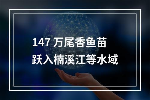 147 万尾香鱼苗跃入楠溪江等水域