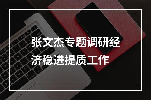 张文杰专题调研经济稳进提质工作