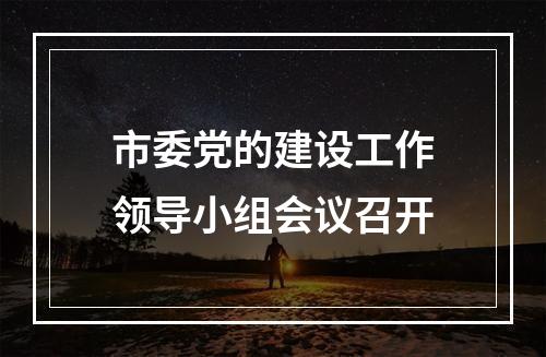 市委党的建设工作领导小组会议召开