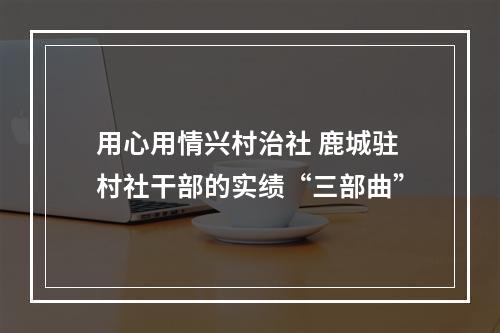 用心用情兴村治社 鹿城驻村社干部的实绩“三部曲”