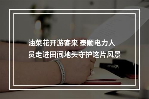 油菜花开游客来 泰顺电力人员走进田间地头守护这片风景