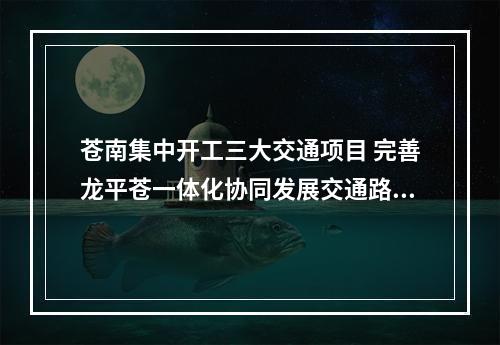 苍南集中开工三大交通项目 完善龙平苍一体化协同发展交通路网
