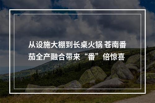 从设施大棚到长桌火锅 苍南番茄全产融合带来“番”倍惊喜