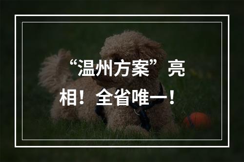 “温州方案”亮相！全省唯一！