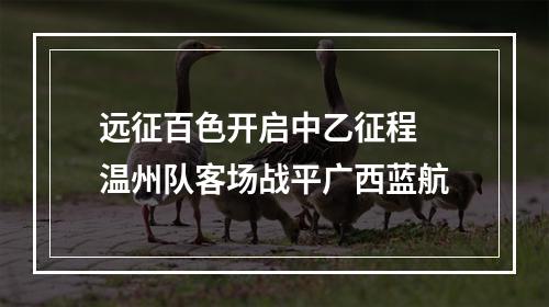 远征百色开启中乙征程 温州队客场战平广西蓝航