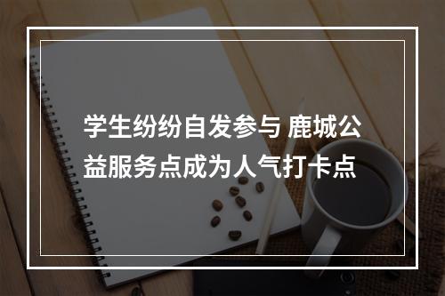 学生纷纷自发参与 鹿城公益服务点成为人气打卡点