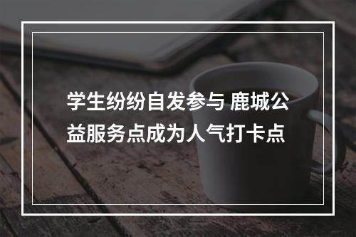 学生纷纷自发参与 鹿城公益服务点成为人气打卡点