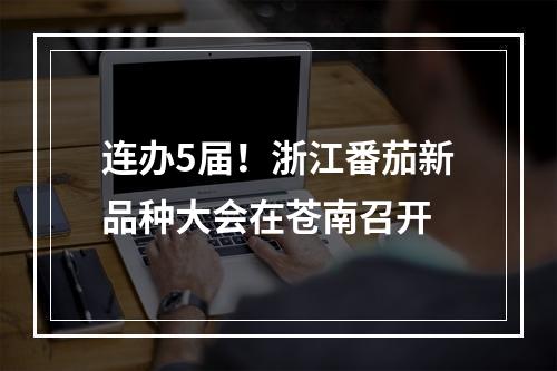 连办5届！浙江番茄新品种大会在苍南召开