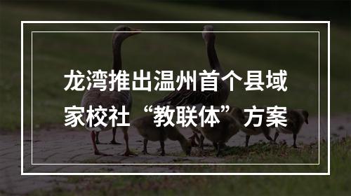 龙湾推出温州首个县域家校社“教联体”方案