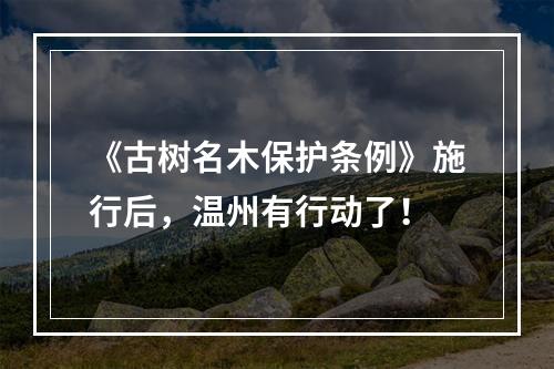 《古树名木保护条例》施行后，温州有行动了！