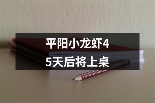 平阳小龙虾45天后将上桌