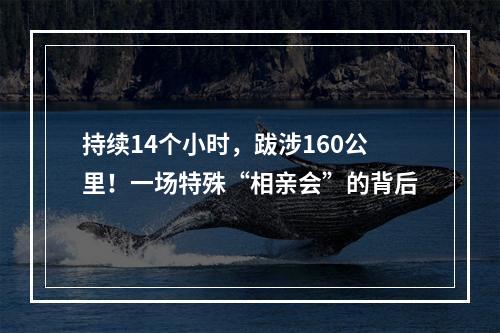 持续14个小时，跋涉160公里！一场特殊“相亲会”的背后