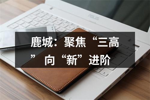 鹿城：聚焦“三高” 向“新”进阶