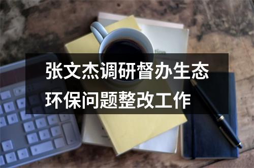 张文杰调研督办生态环保问题整改工作