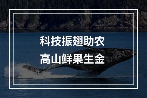 科技振翅助农 高山鲜果生金