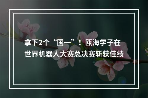 拿下2个“国一”！瓯海学子在世界机器人大赛总决赛斩获佳绩