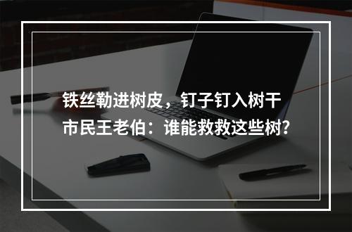 铁丝勒进树皮，钉子钉入树干 市民王老伯：谁能救救这些树？