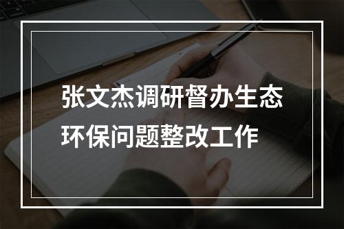 张文杰调研督办生态环保问题整改工作
