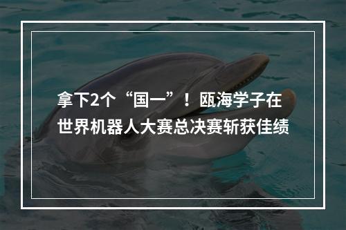 拿下2个“国一”！瓯海学子在世界机器人大赛总决赛斩获佳绩