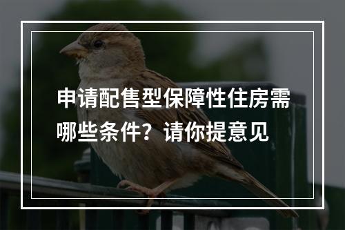 申请配售型保障性住房需哪些条件？请你提意见