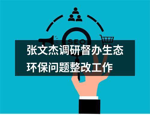 张文杰调研督办生态环保问题整改工作