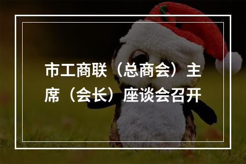 市工商联（总商会）主席（会长）座谈会召开