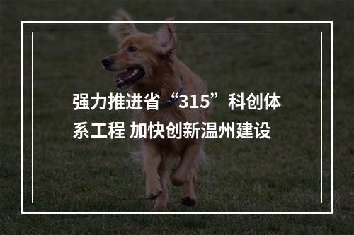 强力推进省“315”科创体系工程 加快创新温州建设