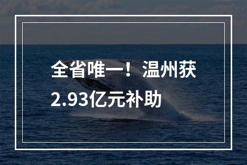 全省唯一！温州获2.93亿元补助