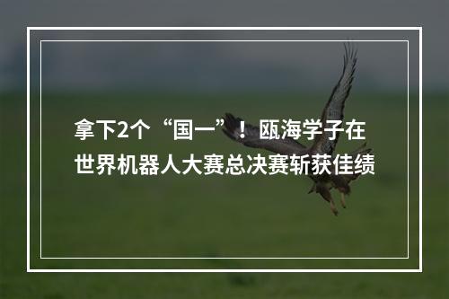 拿下2个“国一”！瓯海学子在世界机器人大赛总决赛斩获佳绩