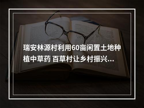 瑞安林源村利用60亩闲置土地种植中草药 百草村让乡村振兴更具活力