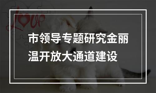 市领导专题研究金丽温开放大通道建设