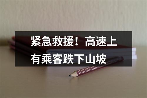 紧急救援！高速上有乘客跌下山坡