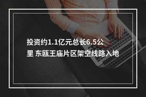 投资约1.1亿元总长6.5公里 东瓯王庙片区架空线路入地