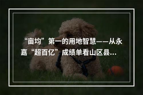 “亩均”第一的用地智慧——从永嘉“超百亿”成绩单看山区县工业突围（一）