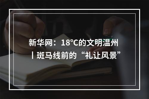 新华网：18℃的文明温州丨斑马线前的“礼让风景”