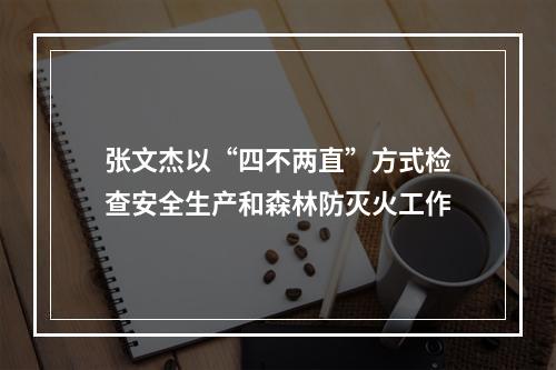 张文杰以“四不两直”方式检查安全生产和森林防灭火工作