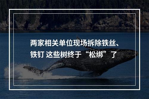 两家相关单位现场拆除铁丝、铁钉 这些树终于“松绑”了