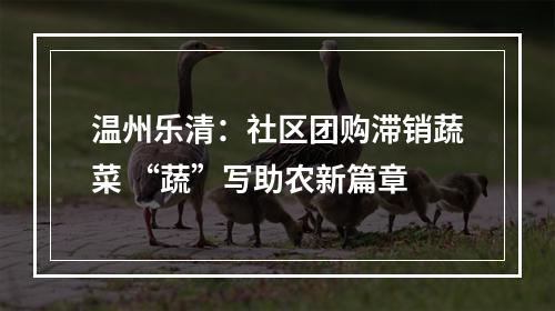 温州乐清：社区团购滞销蔬菜 “蔬”写助农新篇章