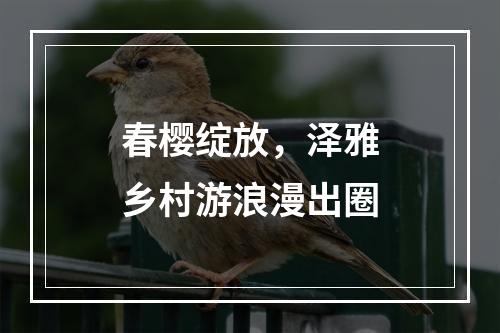 春樱绽放，泽雅乡村游浪漫出圈