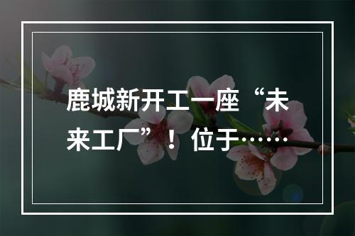 鹿城新开工一座“未来工厂”！位于……