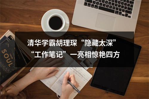 清华学霸胡理琛“隐藏太深” “工作笔记”一亮相惊艳四方