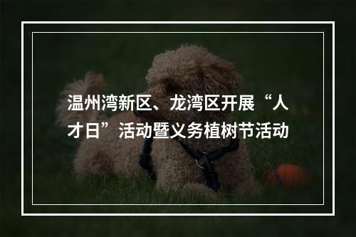 温州湾新区、龙湾区开展“人才日”活动暨义务植树节活动