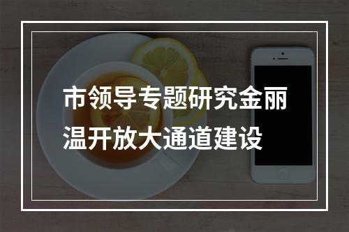市领导专题研究金丽温开放大通道建设