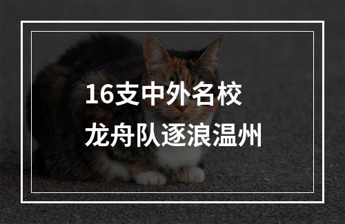 16支中外名校龙舟队逐浪温州
