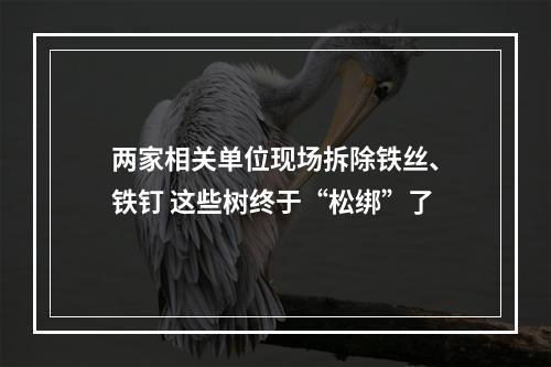 两家相关单位现场拆除铁丝、铁钉 这些树终于“松绑”了