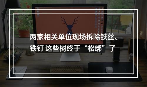 两家相关单位现场拆除铁丝、铁钉 这些树终于“松绑”了
