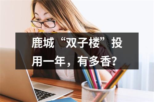 鹿城“双子楼”投用一年，有多香？