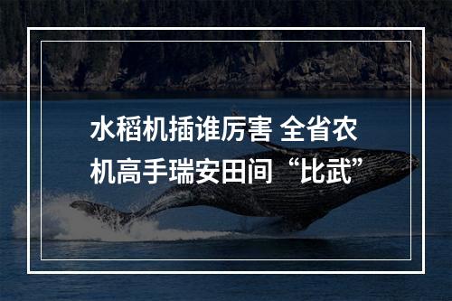 水稻机插谁厉害 全省农机高手瑞安田间“比武”