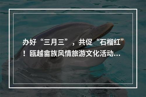 办好“三月三”，共促“石榴红”！瓯越畲族风情旅游文化活动举行