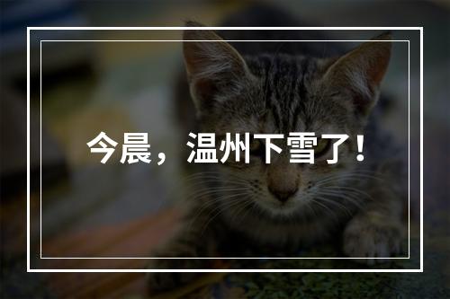 今晨，温州下雪了！